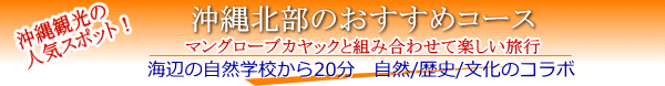 沖縄北部のおすすめ