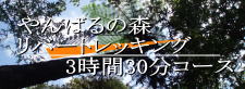 やんばるの森リバートレッキング