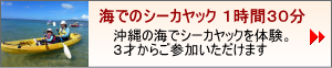 沖縄の海シーカヤック体験