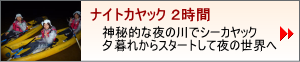 ナイトカヤック