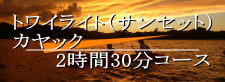 トワイライト(サンセット)マングローブカヤック