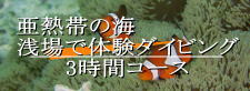体験ダイビング