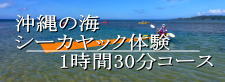 海のシーカヤック体験
