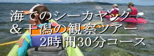 海のシーカヤック体験と干潟の観察