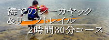 海のシーカヤックとリーフトレイル