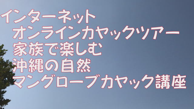 オンラインカヤックツアー