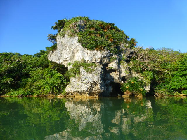 石灰岩
