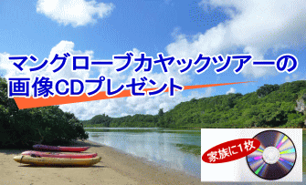 画像CDプレゼント