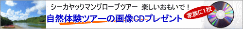 画像CDプレゼント