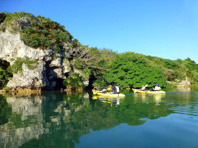 なきじん海辺の自然学校