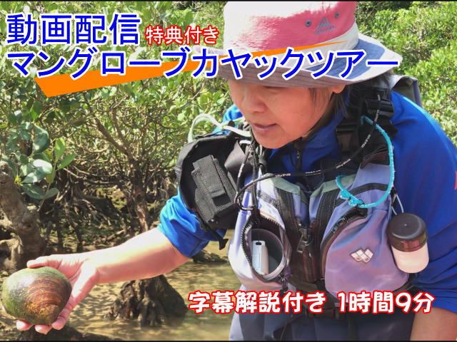 オンライン体験