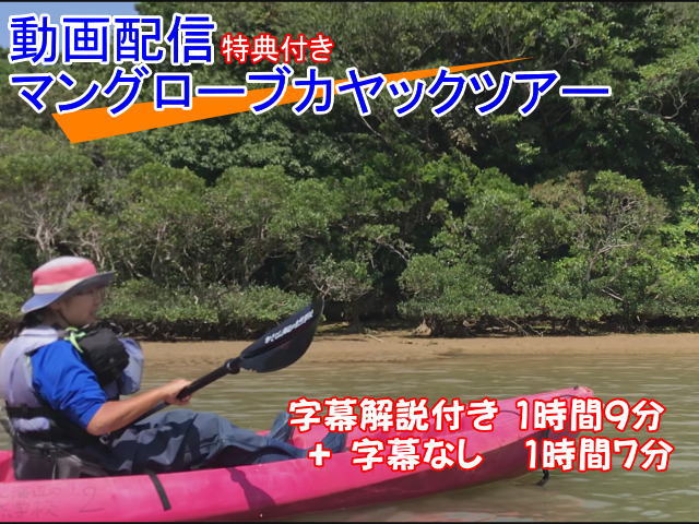 オンライン体験