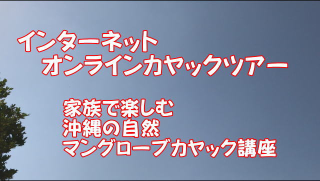 画像CDプレゼント