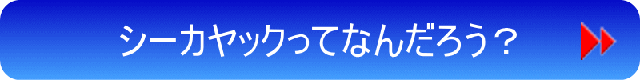 シーカヤックとは