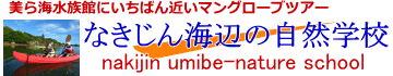 沖縄シーカヤックマングローブツアー
