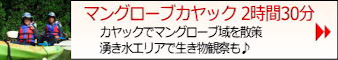 マングローブカヤック