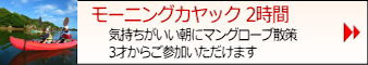 マングローブカヤック