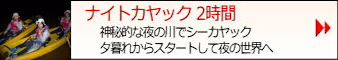 ナイトカヤック