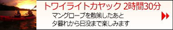 トワイライトカヤック
