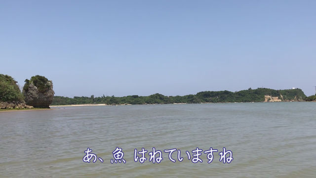 河口