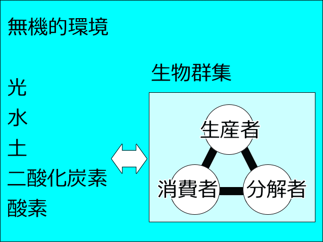 生態系