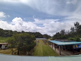 屋根から