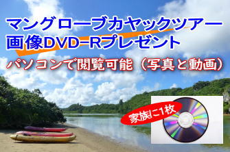 画像DVD