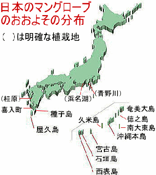 日本のマングローブ