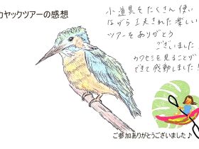 小道具をたくさん使いながら工夫された楽しいツアーをありがとうございました！！ 2025年8月20日午前