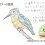小道具をたくさん使いながら工夫された楽しいツアーをありがとうございました！！ 2025年8月20日午前
